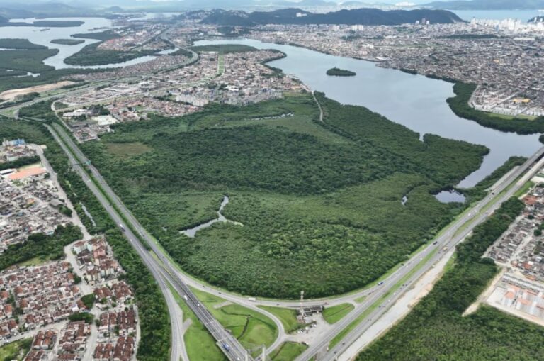 Cidades Verdes do Mundo: 34 municípios brasileiros fazem parte de seleta lista da ONU